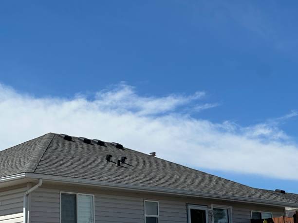 Best Chimney Flashing Repair  in Warner, OK